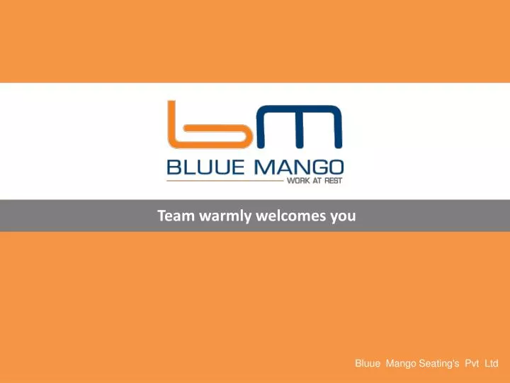 bluue mango seating s pvt ltd