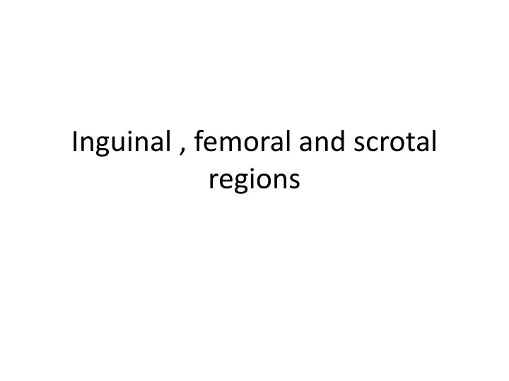 inguinal femoral and scrotal regions