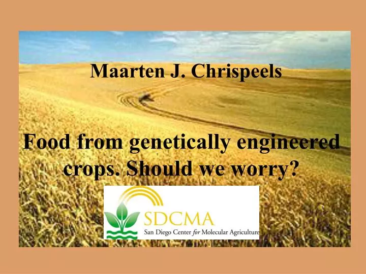 food from genetically engineered crops should we worry