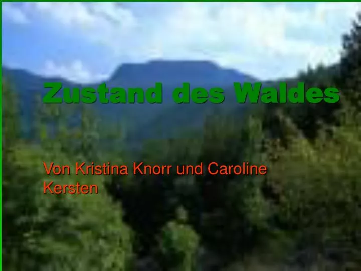 zustand des waldes