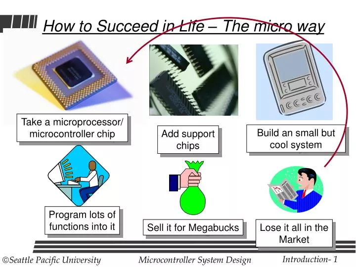 how to succeed in life the micro way