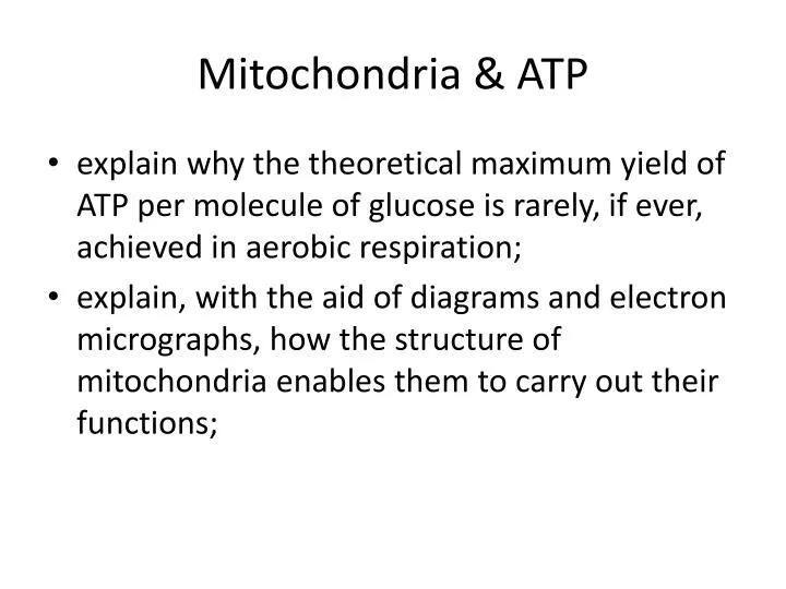 mitochondria atp