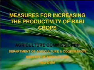 MEASURES FOR INCREASING THE PRODUCTIVITY OF RABI CROPS AGRICULTURE COMMISSIONER DEPARTMENT OF AGRICULTURE &amp; COOPERA