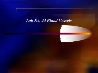 Lab Ex. 44 Blood Vessels