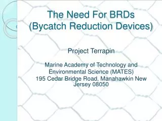 The Need For BRDs (Bycatch Reduction Devices)