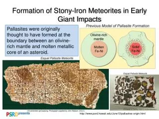 Formation of Stony-Iron Meteorites in Early Giant Impacts