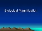 Biological Magnification - slide 1