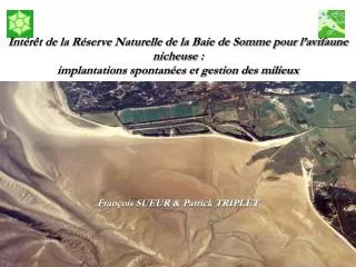 I ntérêt de la Réserve Naturelle de la Baie de Somme pour l’avifaune nicheuse : implantations spontanées et gestion des