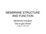 PPT - Cell Membrane Structure and Function PowerPoint Presentation ...