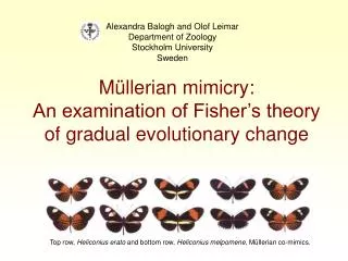 Müllerian mimicry: An examination of Fisher’s theory of gradual evolutionary change