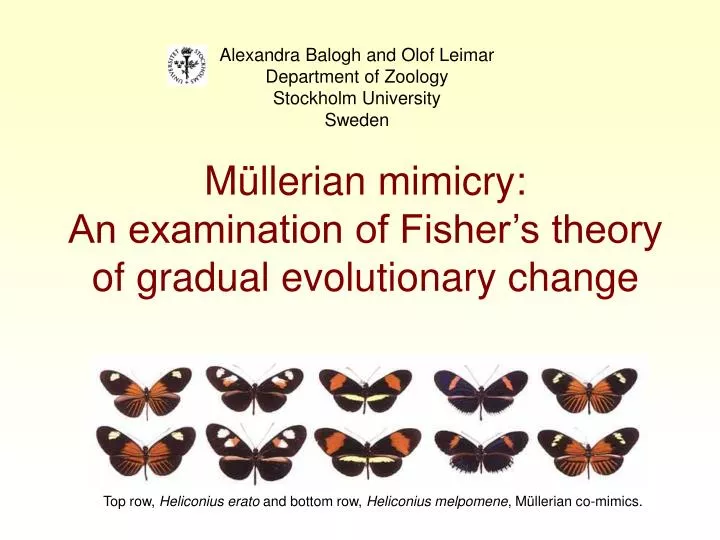 m llerian mimicry an examination of fisher s theory of gradual evolutionary change