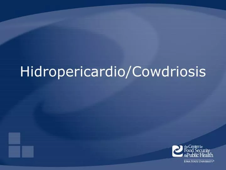 hidropericardio cowdriosis