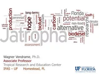 Wagner Vendrame , Ph.D. Associate Professor Tropical Research and Education Center IFAS – UF 	Homestead, FL