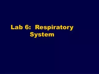 Lab 6: Respiratory System