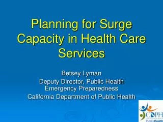 Planning for Surge Capacity in Health Care Services