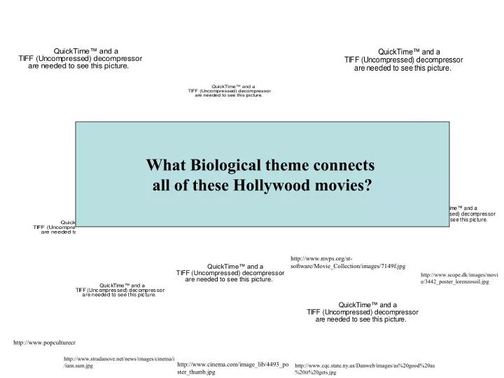 hollywood movie slide