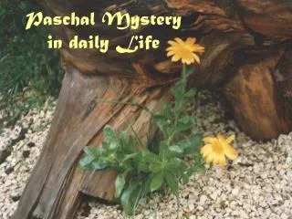 Paschal Mystery in daily Life