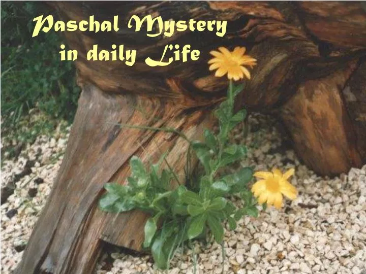 paschal mystery in daily life