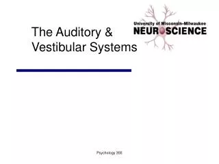 The Auditory &amp; Vestibular Systems