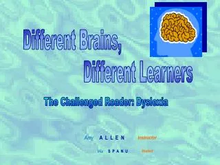 Different Brains,
