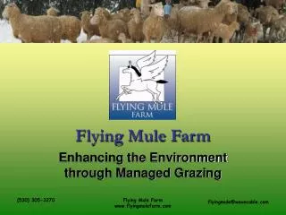 Flying Mule Farm