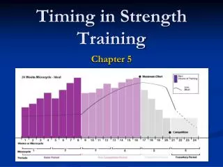 Timing in Strength Training