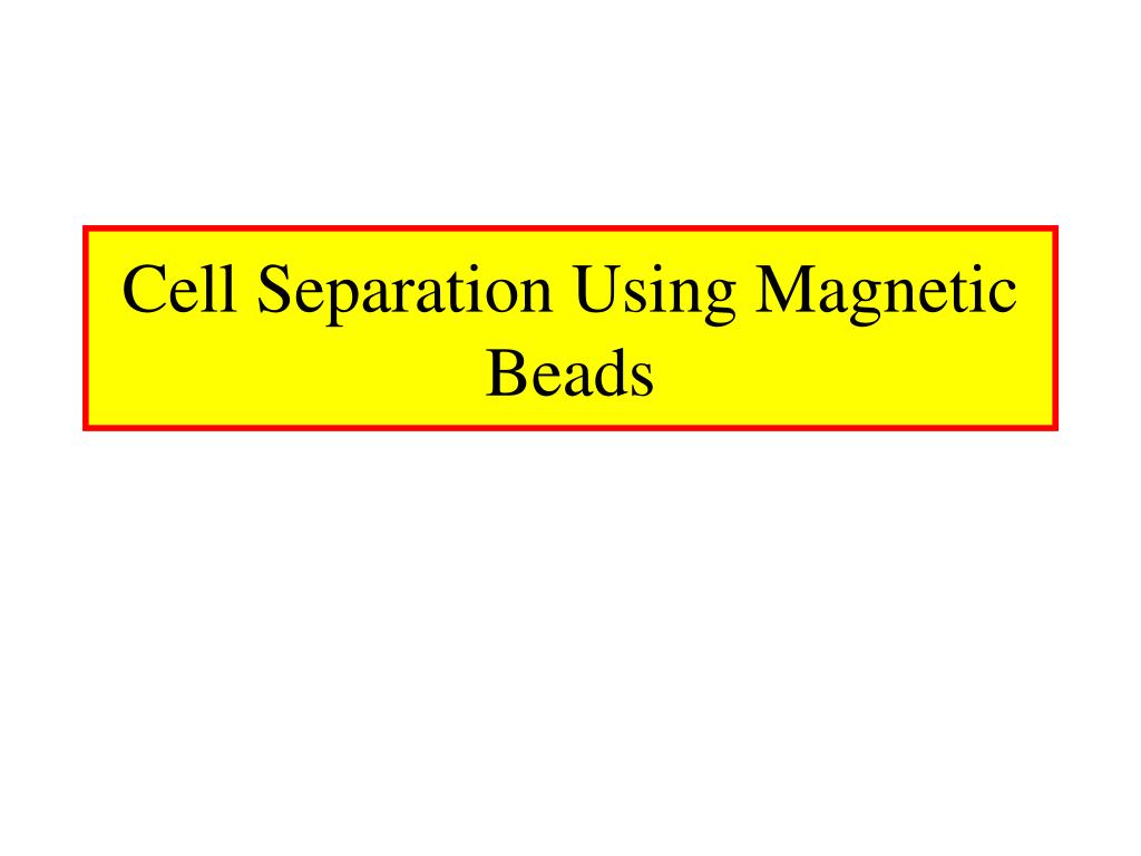 PPT - Cell Separation Using Magnetic Beads PowerPoint Presentation ...