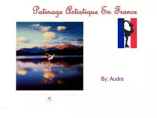 Patinage Artistique En France