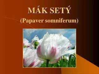 m k set