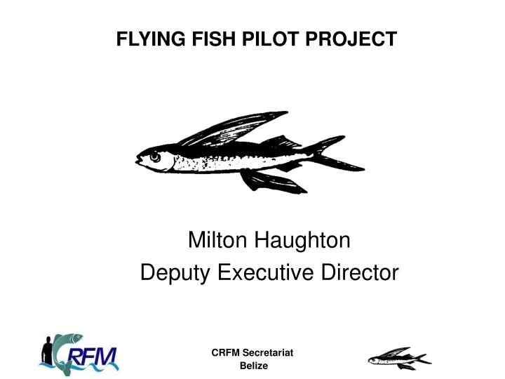 flying fish pilot project