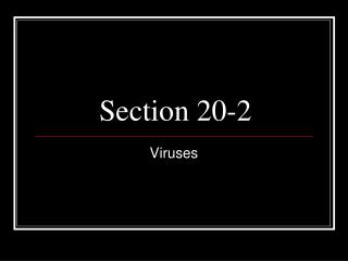 Section 20-2