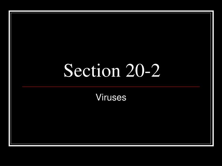 section 20 2