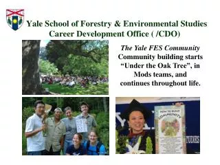 Yale School of Forestry &amp; Environmental Studies Career Development Office ( /CDO)