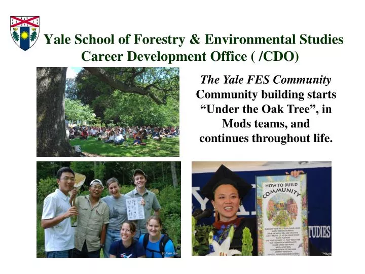 yale school of forestry environmental studies career development office cdo