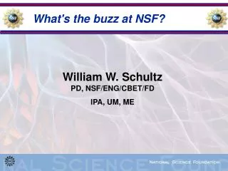 What's the buzz at NSF?