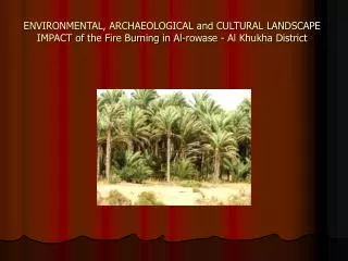 ENVIRONMENTAL, ARCHAEOLOGICAL and CULTURAL LANDSCAPE IMPACT of the Fire Burning in Al-rowase - Al Khukha District