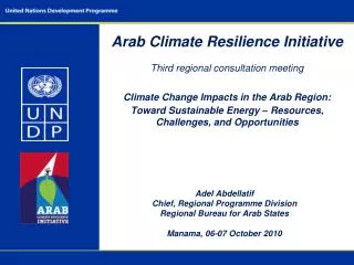 Adel Abdellatif Chief, Regional Programme Division Regional Bureau for Arab States Manama, 06-07 October 2010