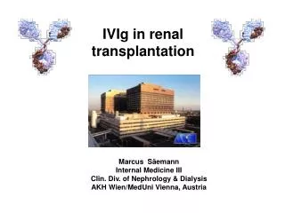 IVIg in renal transplantation