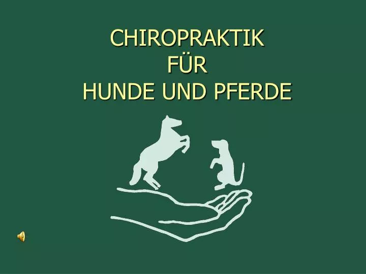 chiropraktik f r hunde und pferde