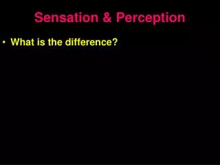 Sensation &amp; Perception