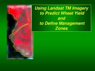 Using Landsat TM Imagery to Predict Wheat Yield and to Define Management Zones