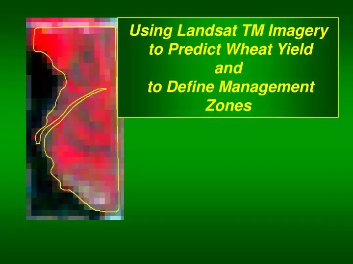 using landsat tm imagery to predict wheat yield and to define management zones