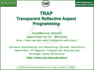 TRAP Transparent Reflective Aspect Programming