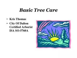 Basic Tree Care