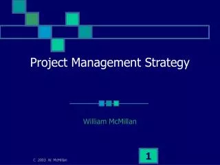 Project Management Strategy