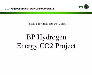 Terralog Technologies USA, Inc. BP Hydrogen Energy CO2 Project
