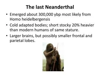 The last Neanderthal