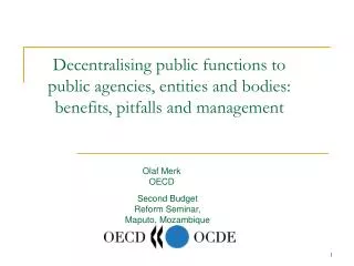 Decentralising public functions to public agencies, entities and bodies: benefits, pitfalls and management