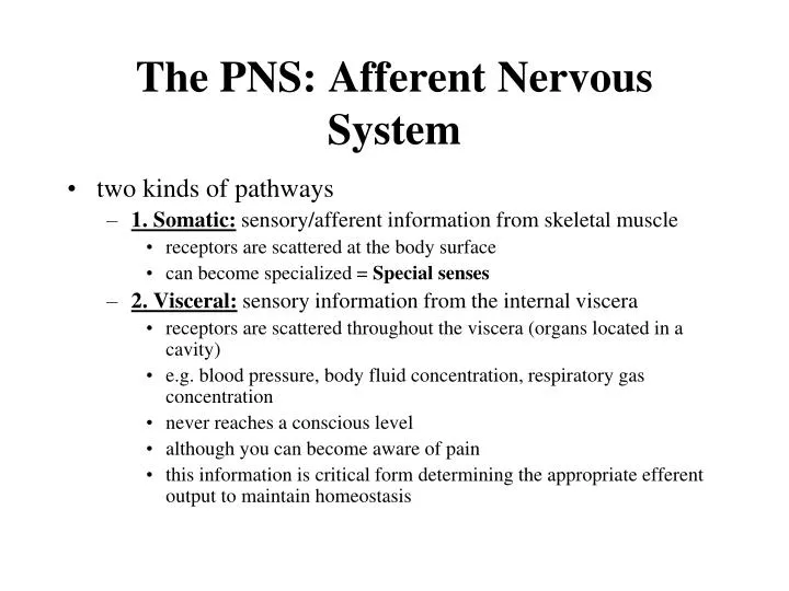the pns afferent nervous system