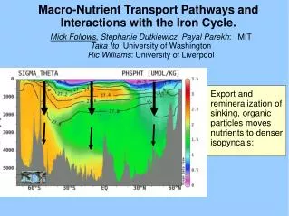 Macro-Nutrient Transport Pathways and Interactions with the Iron Cycle.